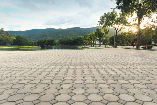 Best Professional Driveway Pavers  in Camp Verde, AZ