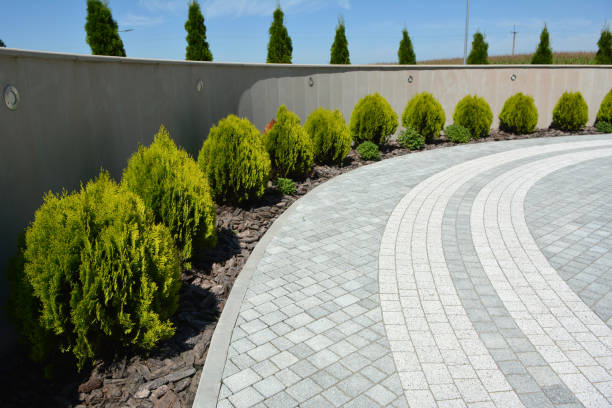 Best Best Driveway Pavers  in Camp Verde, AZ